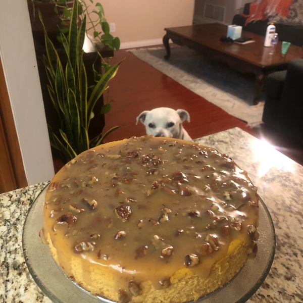 Maple Pumpkin Cheesecake