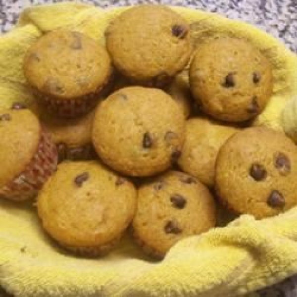 Barb's Pumpkin Chocolate Chip Muffins