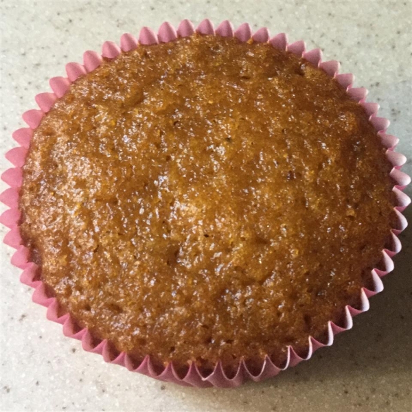 Barb's Pumpkin Chocolate Chip Muffins