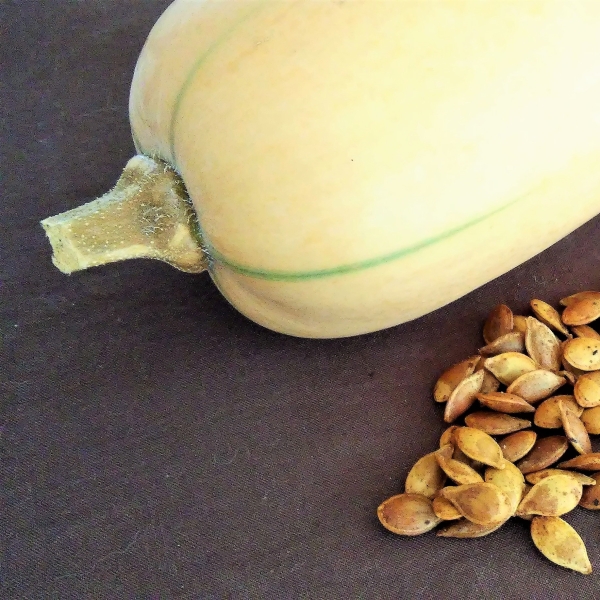 Roasted Winter Squash Seeds