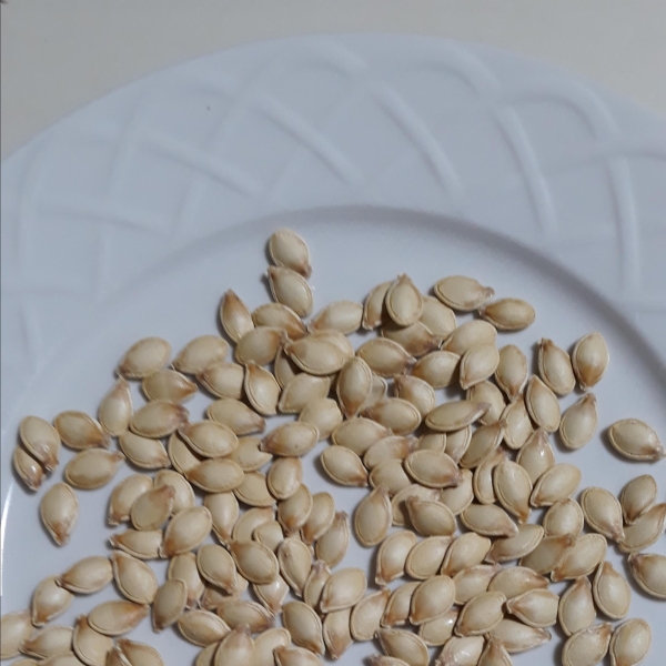 Roasted Winter Squash Seeds