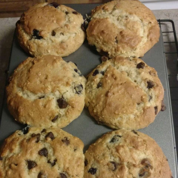 Chocolate Chip and Blueberry Muffins