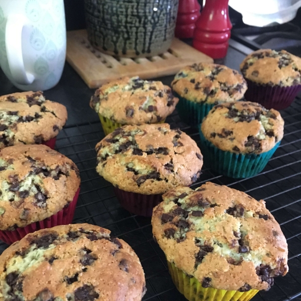 Chocolate Chip and Blueberry Muffins