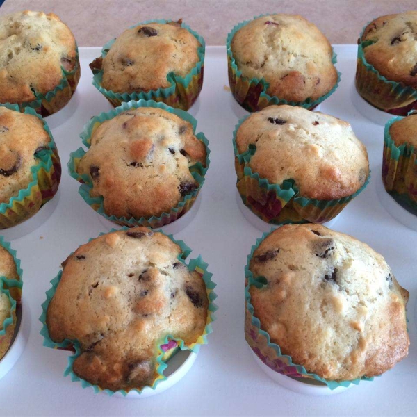 Chocolate Chip and Blueberry Muffins