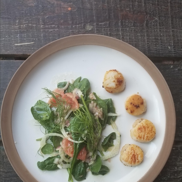 Seared Scallops with Grapefruit-Fennel Salad