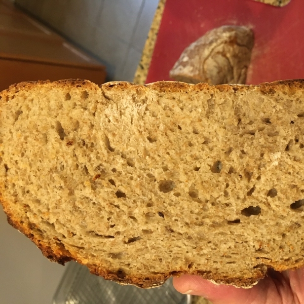 Dutch Oven Caraway Rye Bread