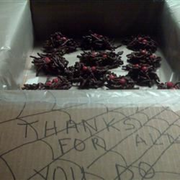 Chocolate Spiders