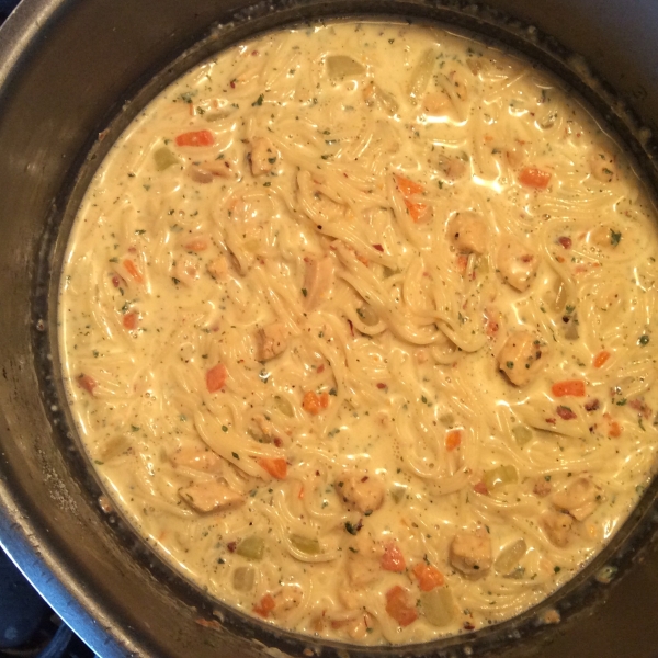 Suzanne's Instant Pot® Creamy Chicken Noodle Soup