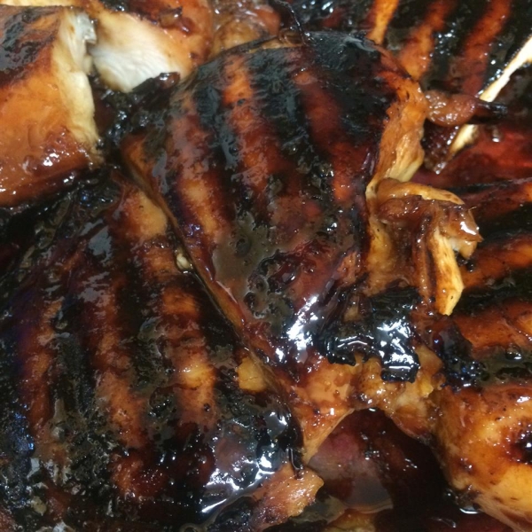 Fish and Things Teriyaki Marinade