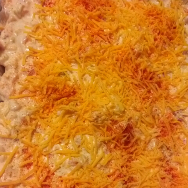 Coyote Dip