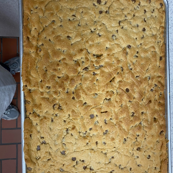 Chocolate Chip Peanut Butter Blondies