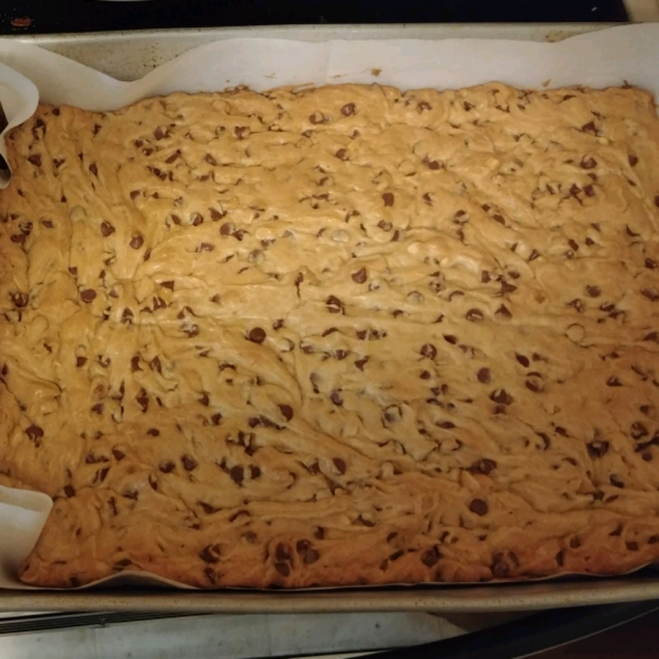 Chocolate Chip Peanut Butter Blondies