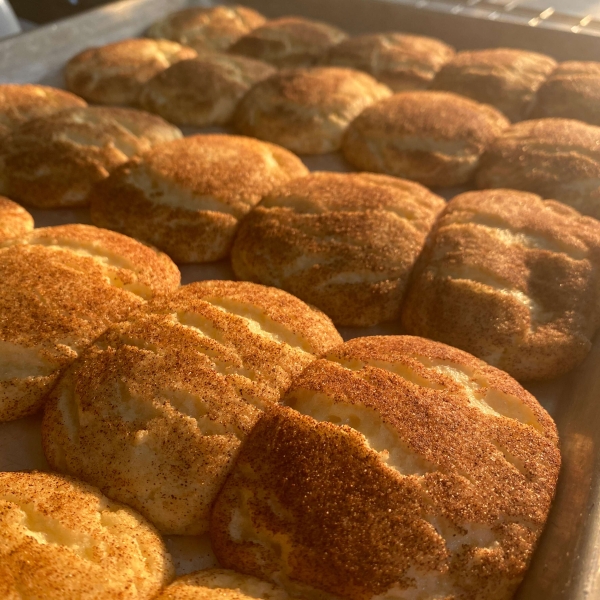 Snickerdoodles I