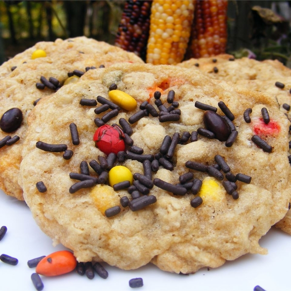 Sunflower Oatmeal Cookies