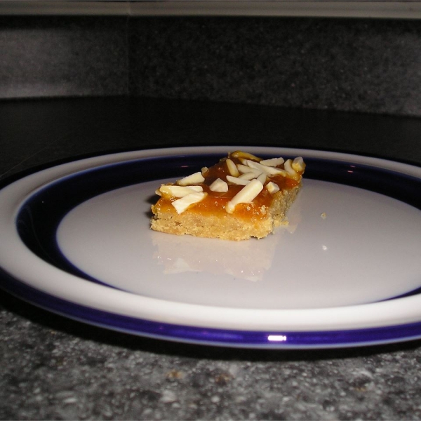 Apricot Bars I