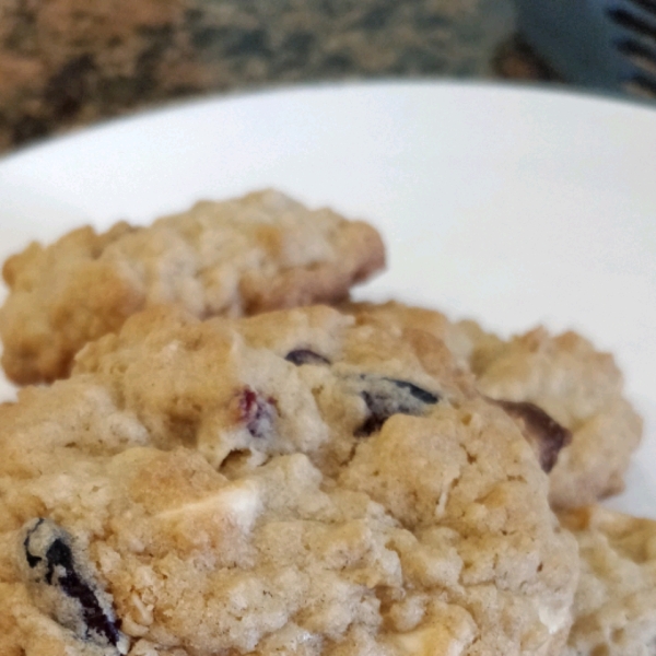 Oatmeal Craisin Cookies