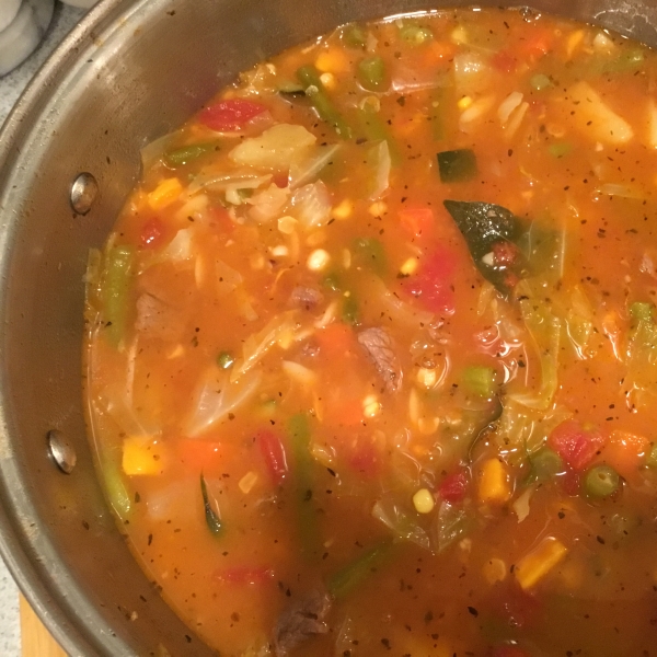 Beef and Garden Vegetable Soup