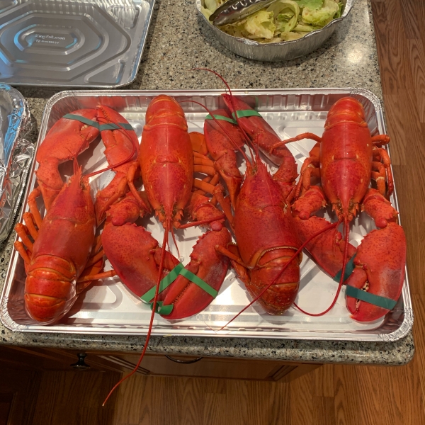 Boiled Lobster