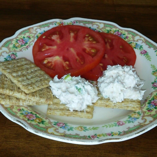 Tangy Tuna Dip