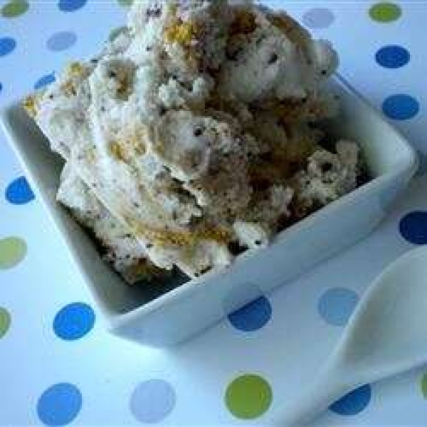 Graham Cracker Ice Cream