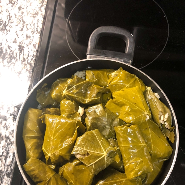 My Own Famous Stuffed Grape Leaves