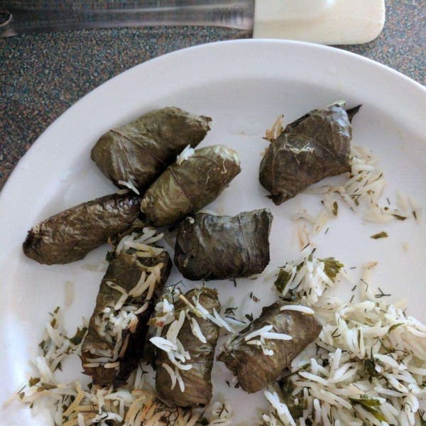 My Own Famous Stuffed Grape Leaves
