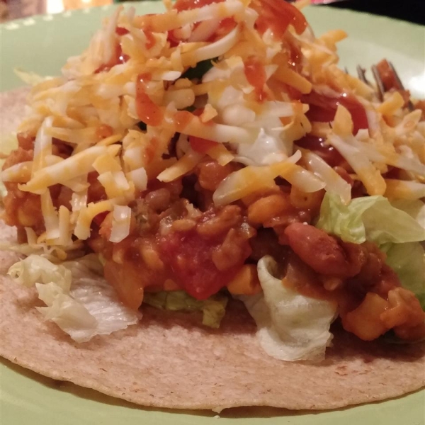 Appetizing Vegetarian Burritos