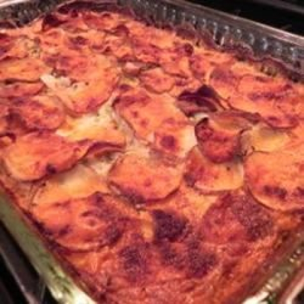 Potato and Jalapeno Gratin