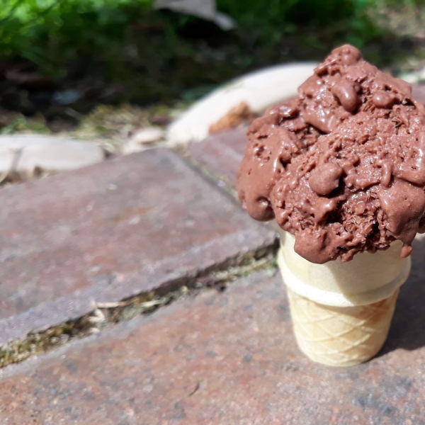 Dark Brownie Fudge Ice Cream