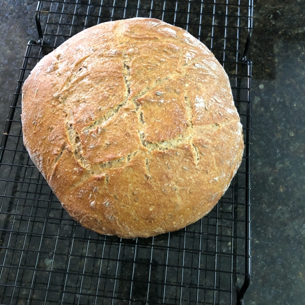 Dutch Oven Caraway Rye Bread