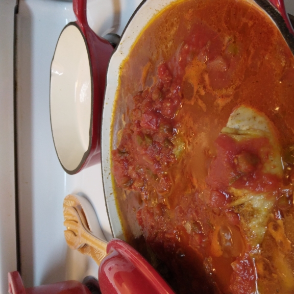 Slow Cooker Chicken and Salsa