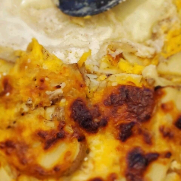 Scalloped Potatoes