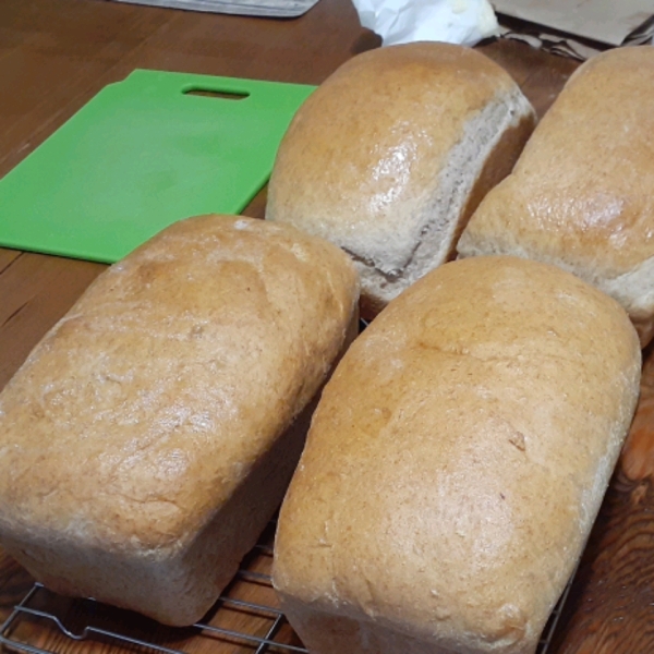 Whole Wheat Bread II