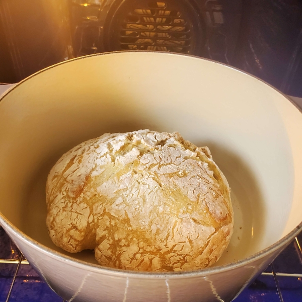 No-Knead Dutch Oven Bread