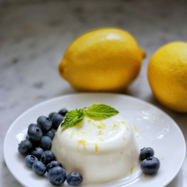 Lemon Panna Cotta with Blueberries