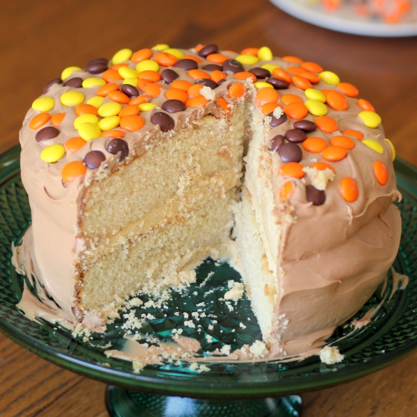 Peanut Butter and Chocolate Cake I
