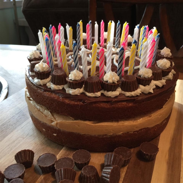 Peanut Butter and Chocolate Cake I