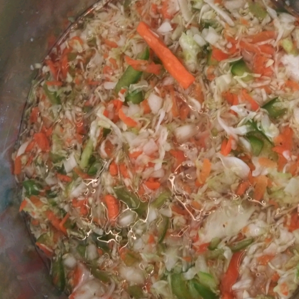 Freezer Slaw