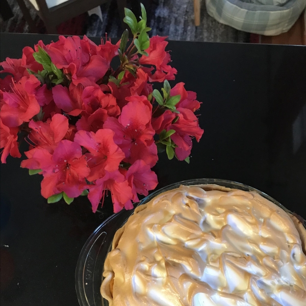 Grandaddy's Sweet Potato Meringue Pie