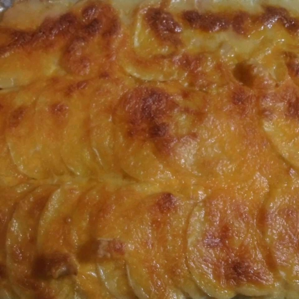 Mama Moe's Scalloped Potatoes