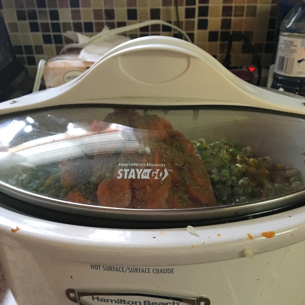 Slow Cooker Ground Beef Stew