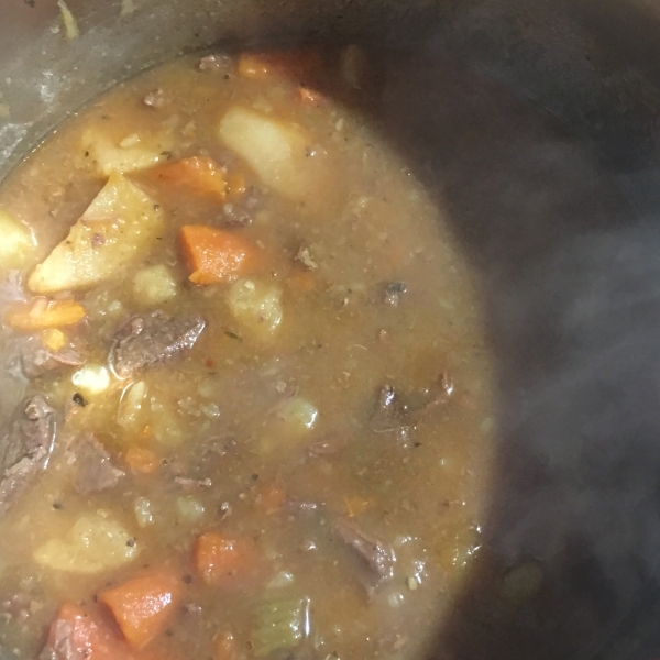 Instant Pot® Stew Using Frozen Meat