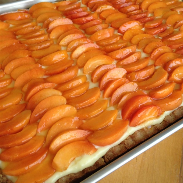 Tieton Apricot Tart with Basil Custard