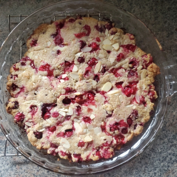 Crustless Cranberry Pie