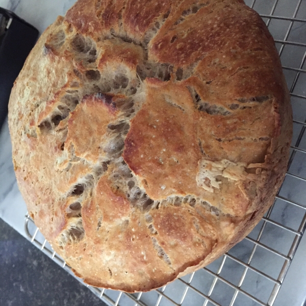 Better-Than-Bakery No-Knead Sourdough