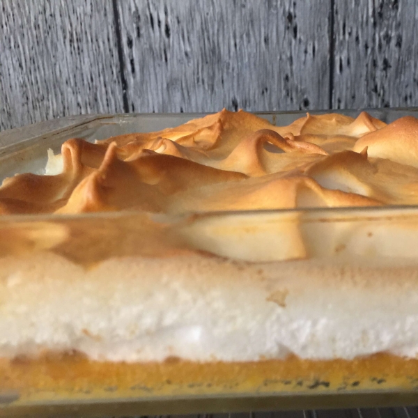 Yummy Squash Custard