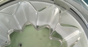 Homemade Mint Chocolate Chip Ice Cream