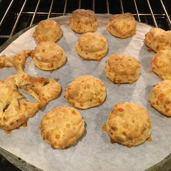 Greek Yogurt Biscuits