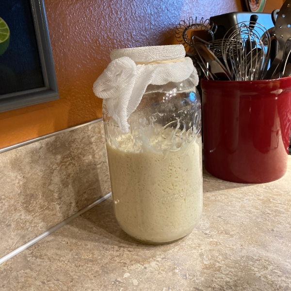 Sourdough Starter