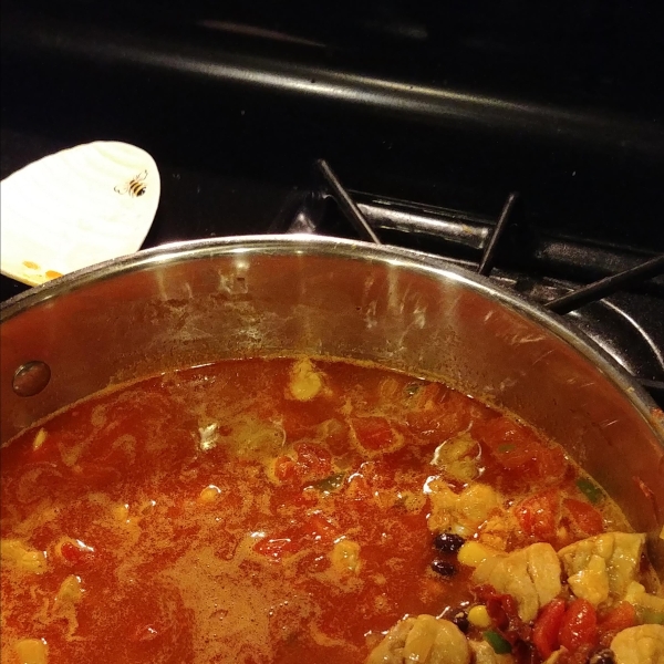Spicy Mexican Tortilla Soup